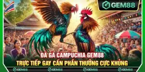 Đá gà Campuchia Gem88 – Trực tiếp gay cấn phần thưởng cực khủng