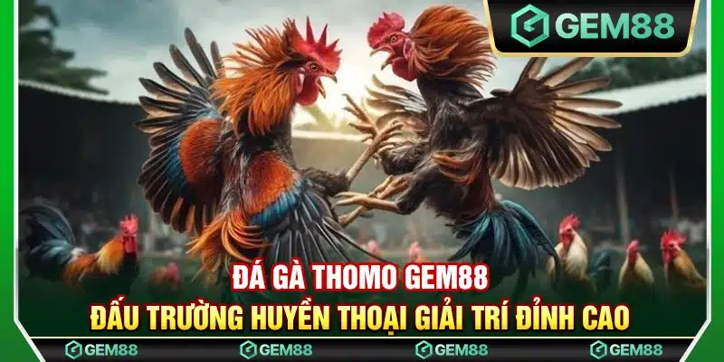 Đá gà Thomo Gem88 – Đấu trường huyền thoại giải trí đỉnh cao