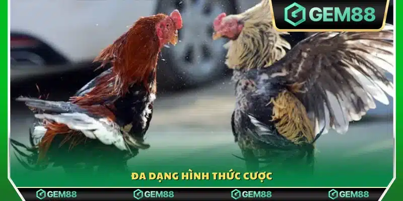 Nhiều loại kèo cá cược phong phú và hấp dẫn