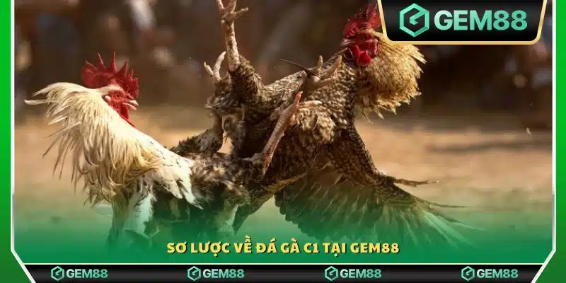Đôi nét về trò chơi đá gà C1 tại nền tảng Gem 88